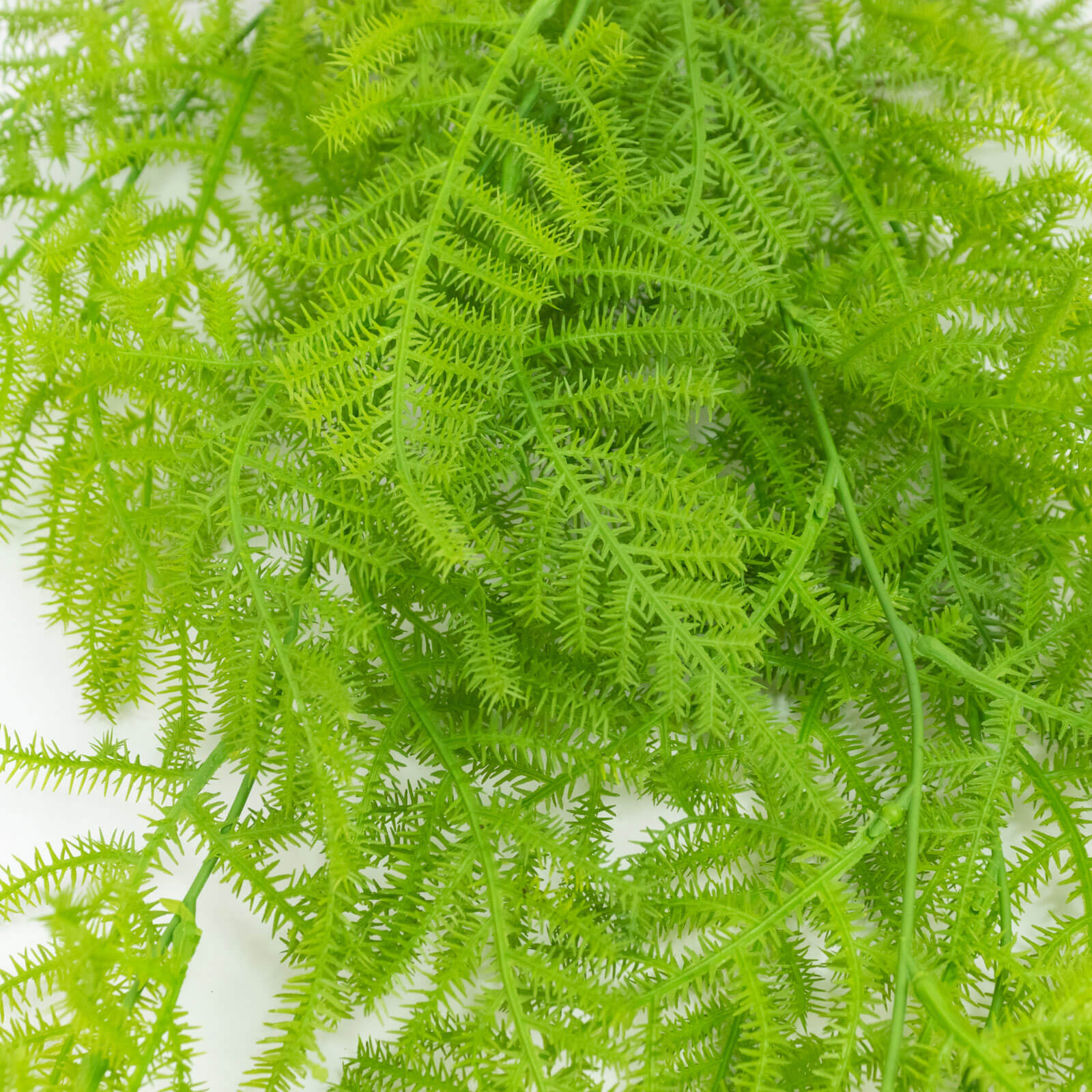 10 Pack Artificial Hanging Fern Bushes – 32" Asparagus Fern Trailing Plants for Green Wall, Vertical Garden & Vase Filler