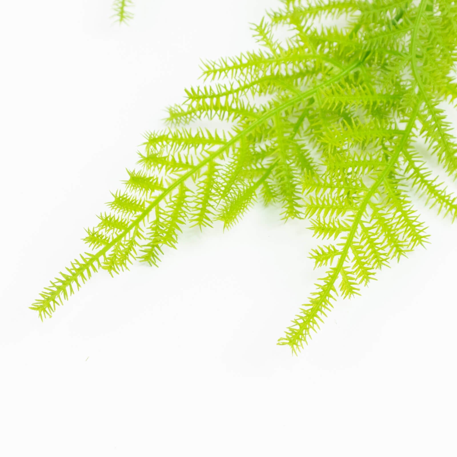 10 Pack Artificial Hanging Fern Bushes – 32" Asparagus Fern Trailing Plants for Green Wall, Vertical Garden & Vase Filler
