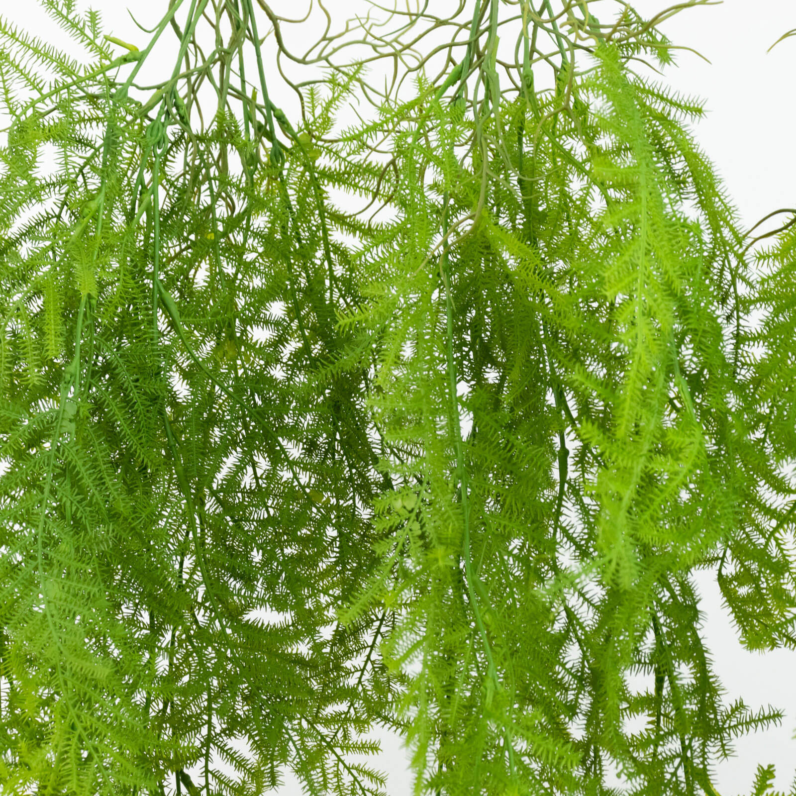 10 Pack Artificial Hanging Fern Bushes – 32" Asparagus Fern Trailing Plants for Green Wall, Vertical Garden & Vase Filler