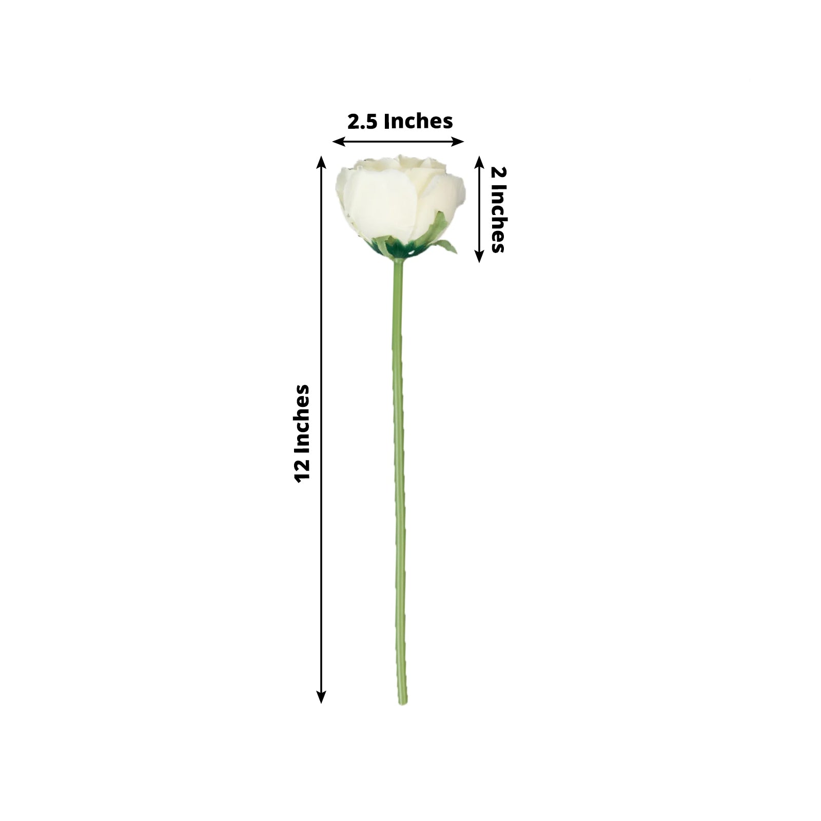 10 Pack 12" Ivory Silk Rose Stems, Artificial Flowers for Arrangements and Bouquets